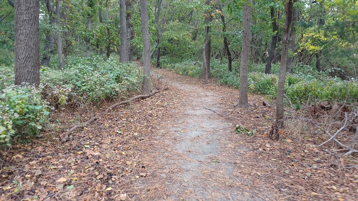 Hunn Nature Park