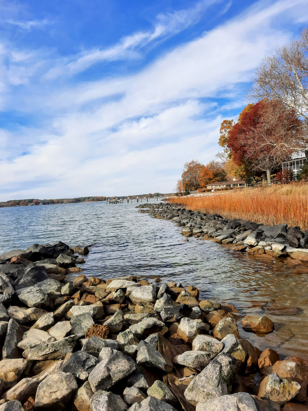 Choptank River