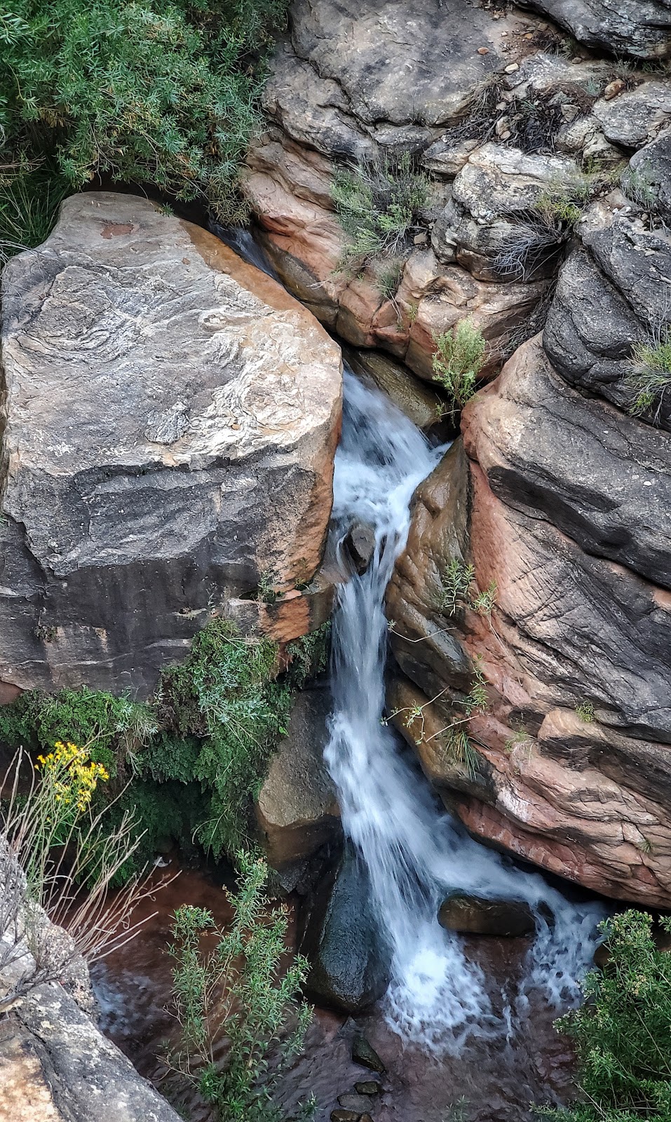 Garden Creek