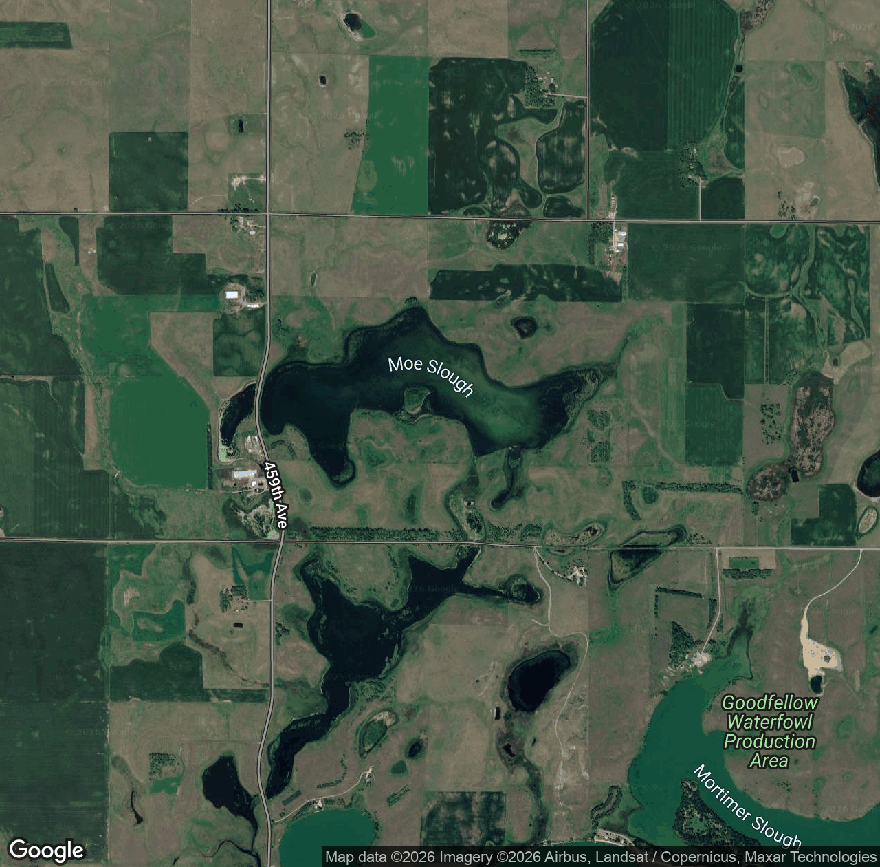 Moe Slough