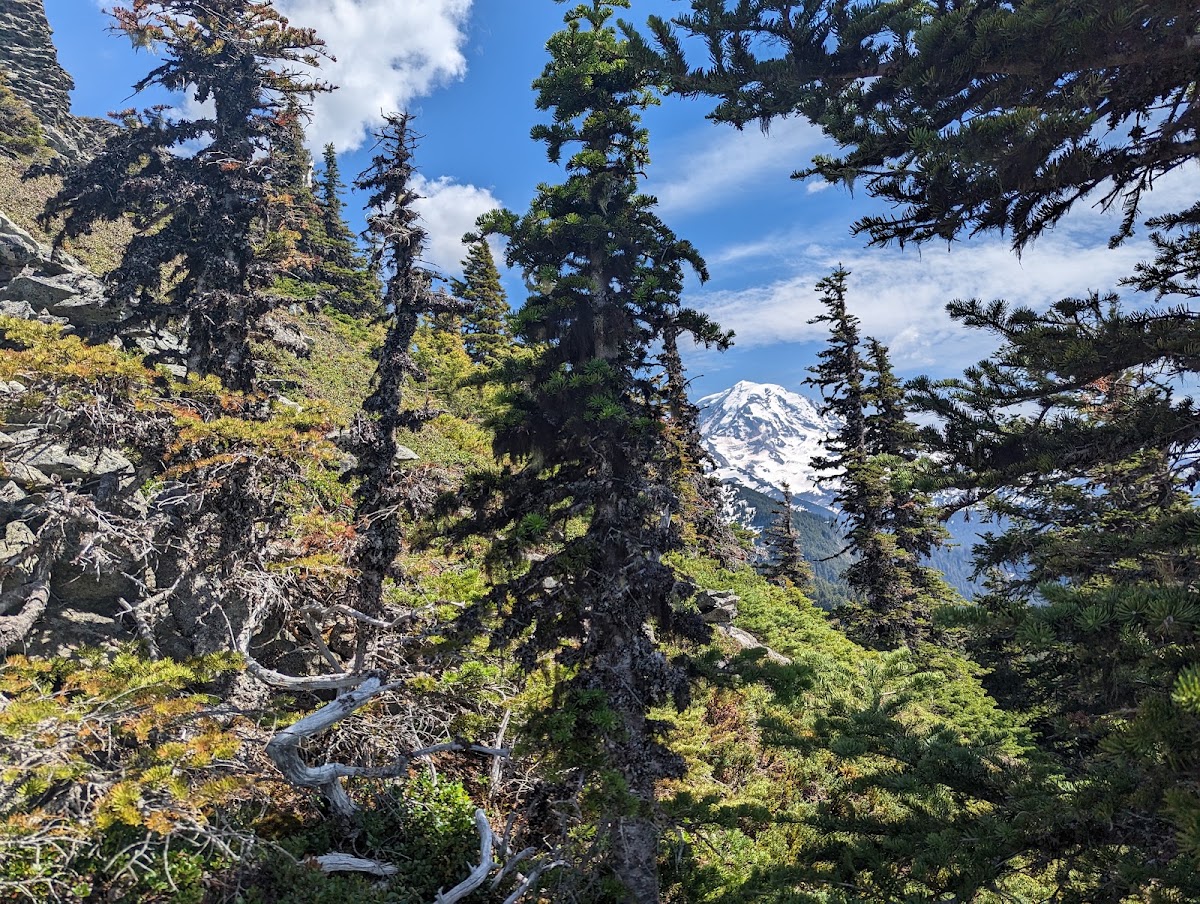 Florence Peak Trail