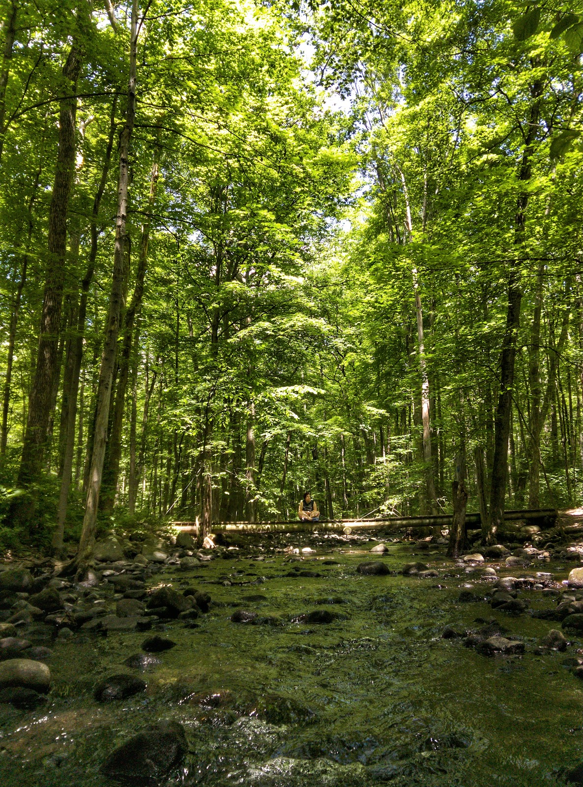 West River