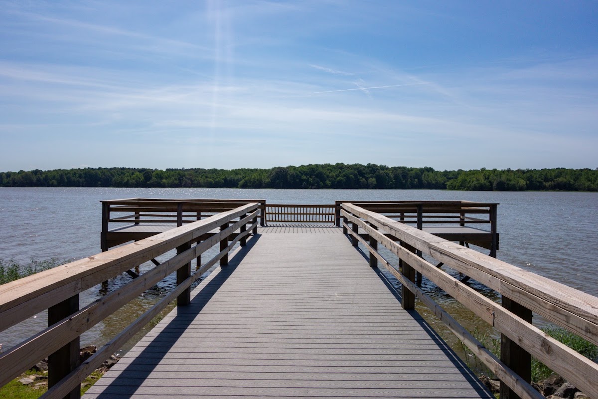 Lake Frierson