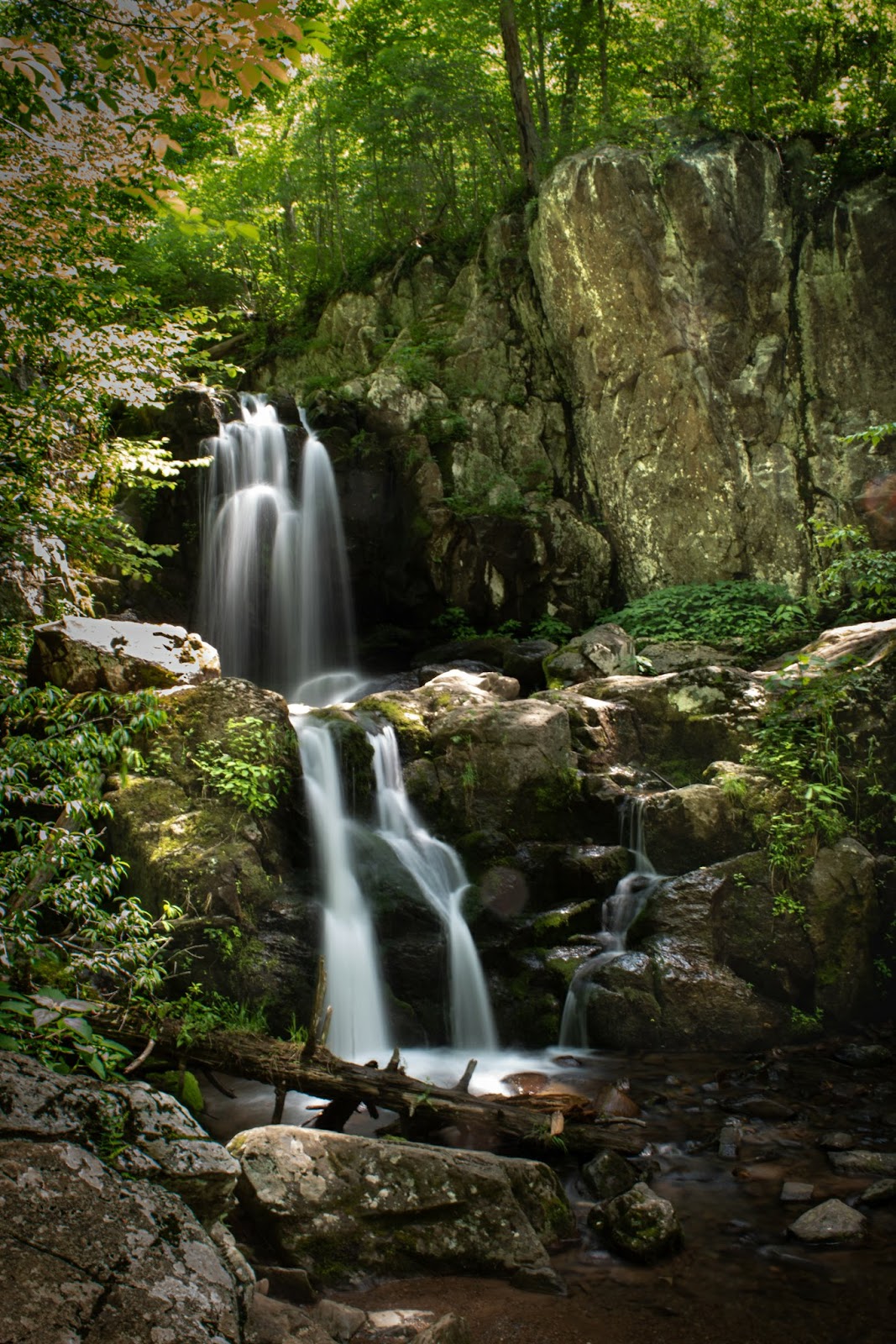 Doyles River