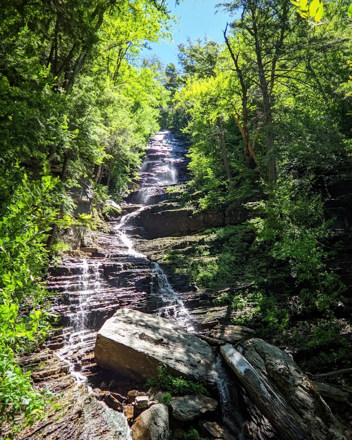 Lye Brook