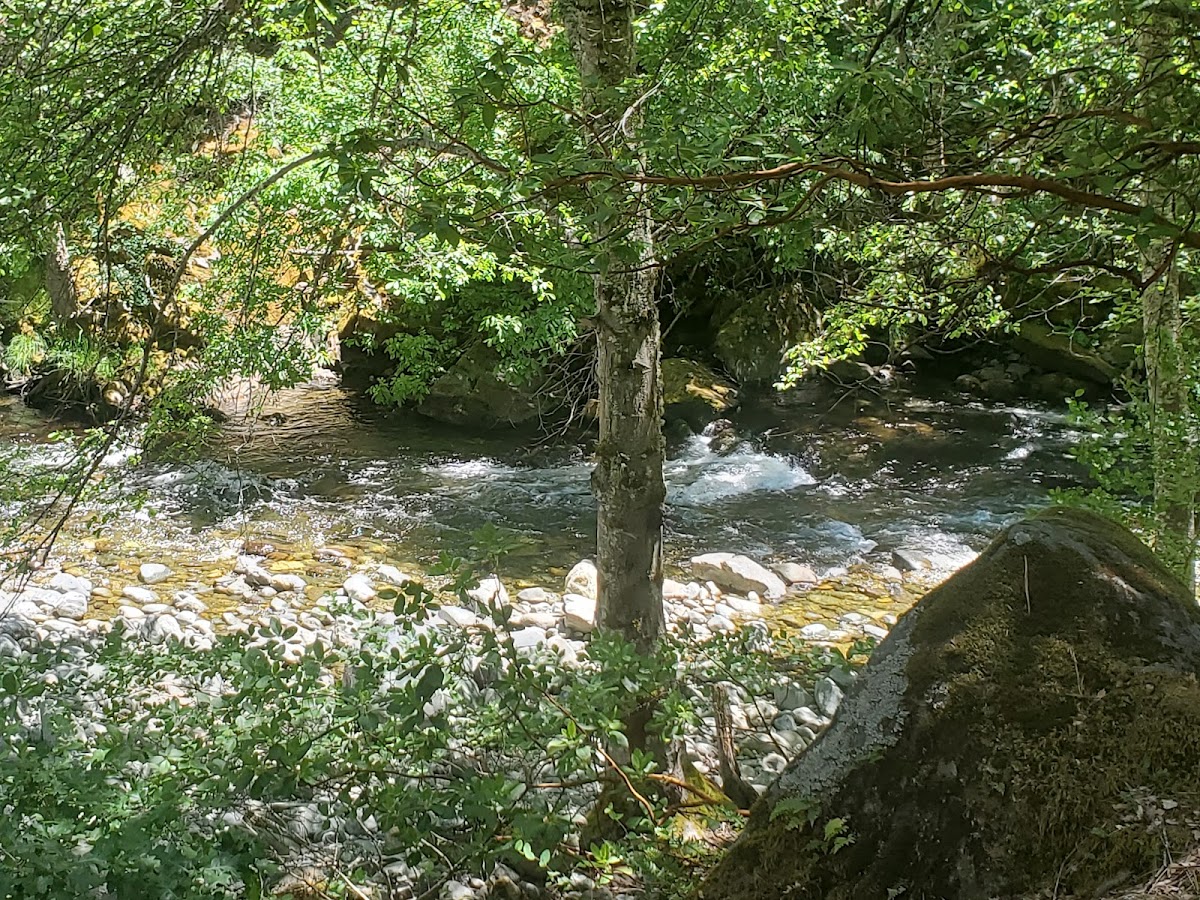 Applegate River