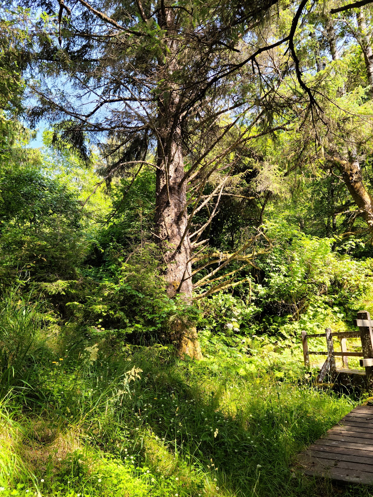 Cushing Creek