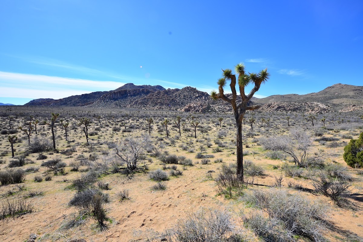 Quails Springs Historic