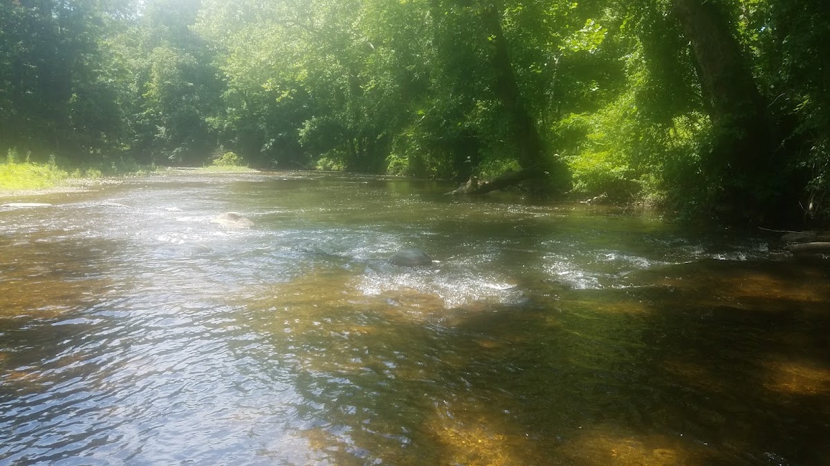 Musconetcong River