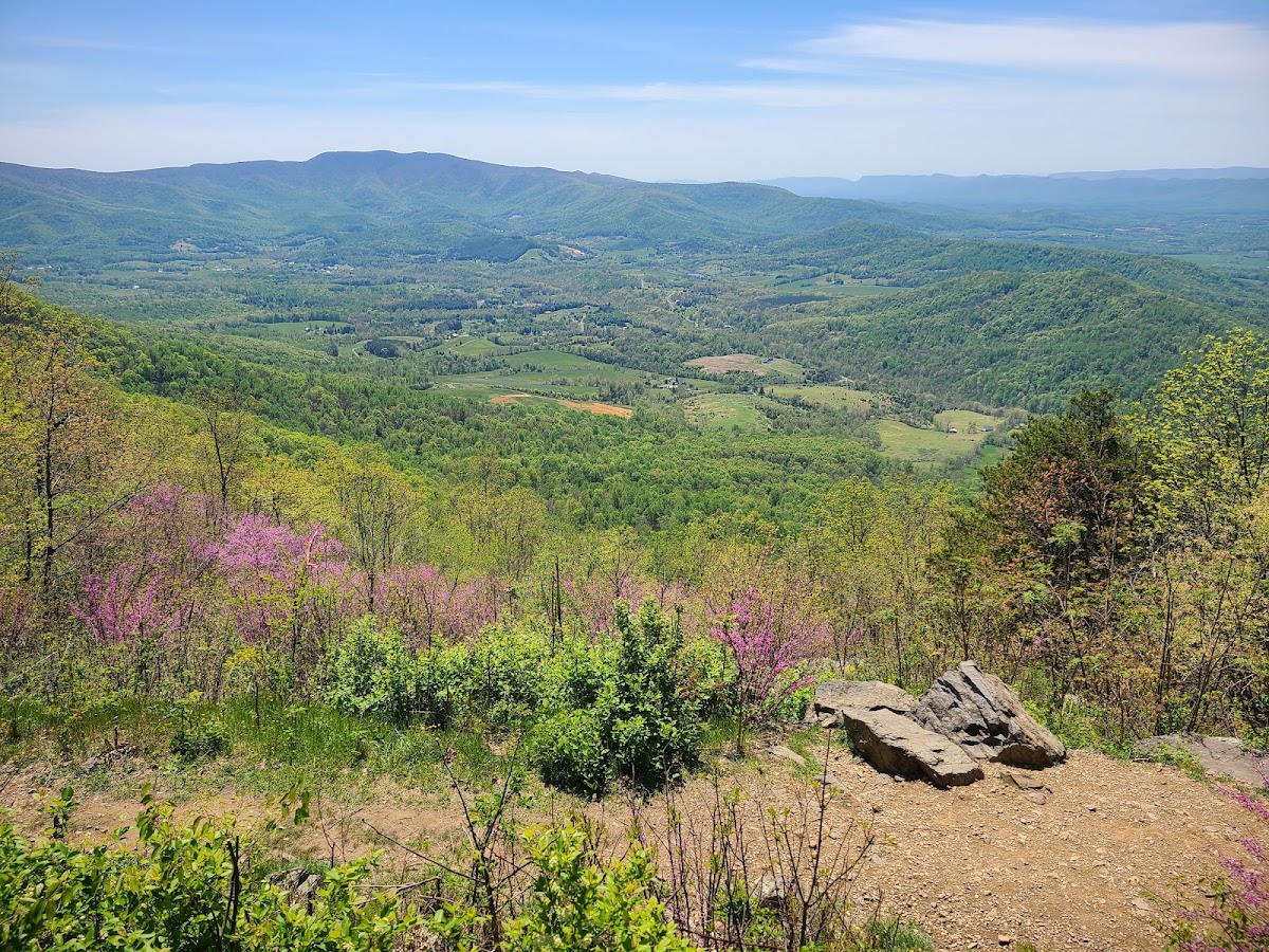 Lake Frederick Hiking Trail