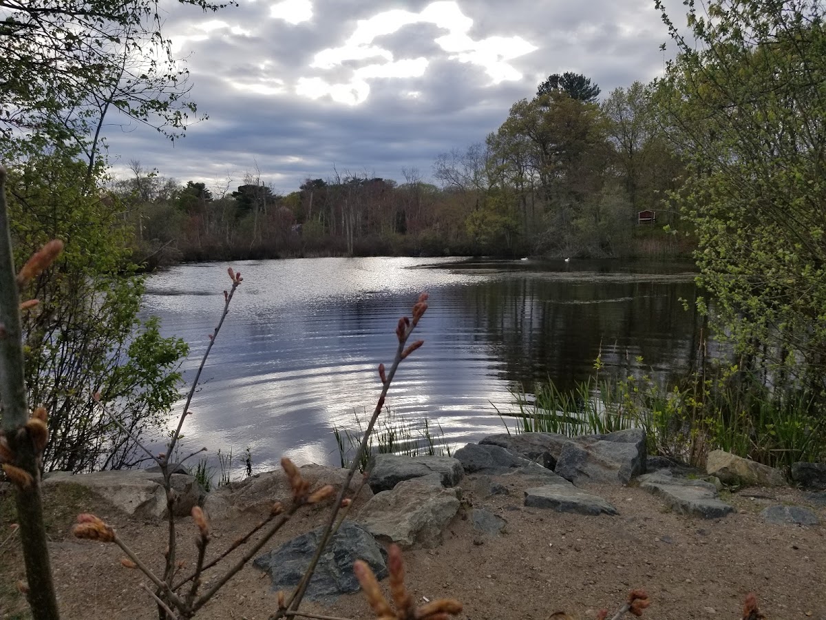 Great Pond Water Department Land