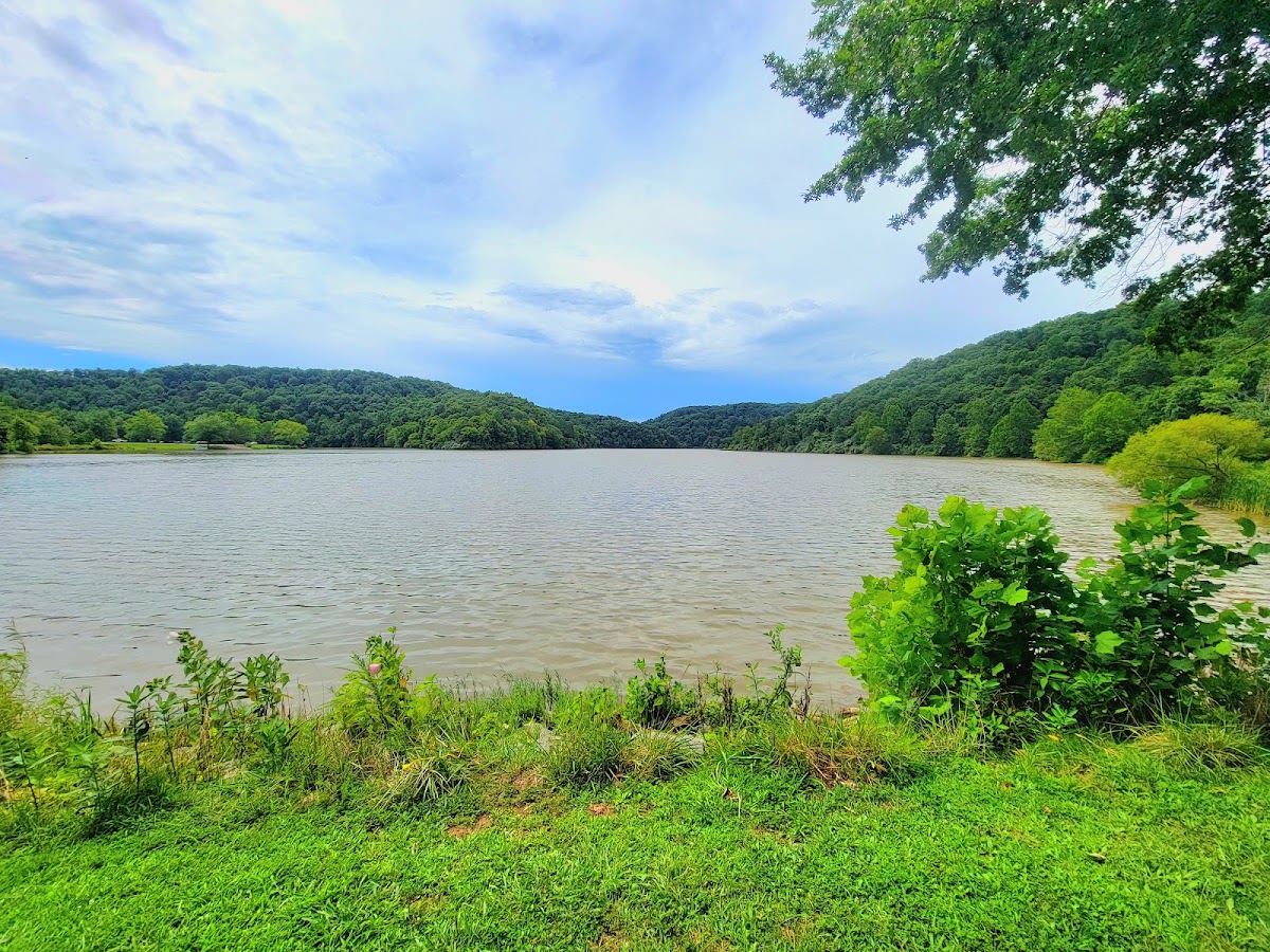 Beech Fork State Park