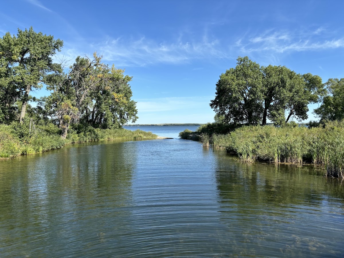 Enemy Swim Lake