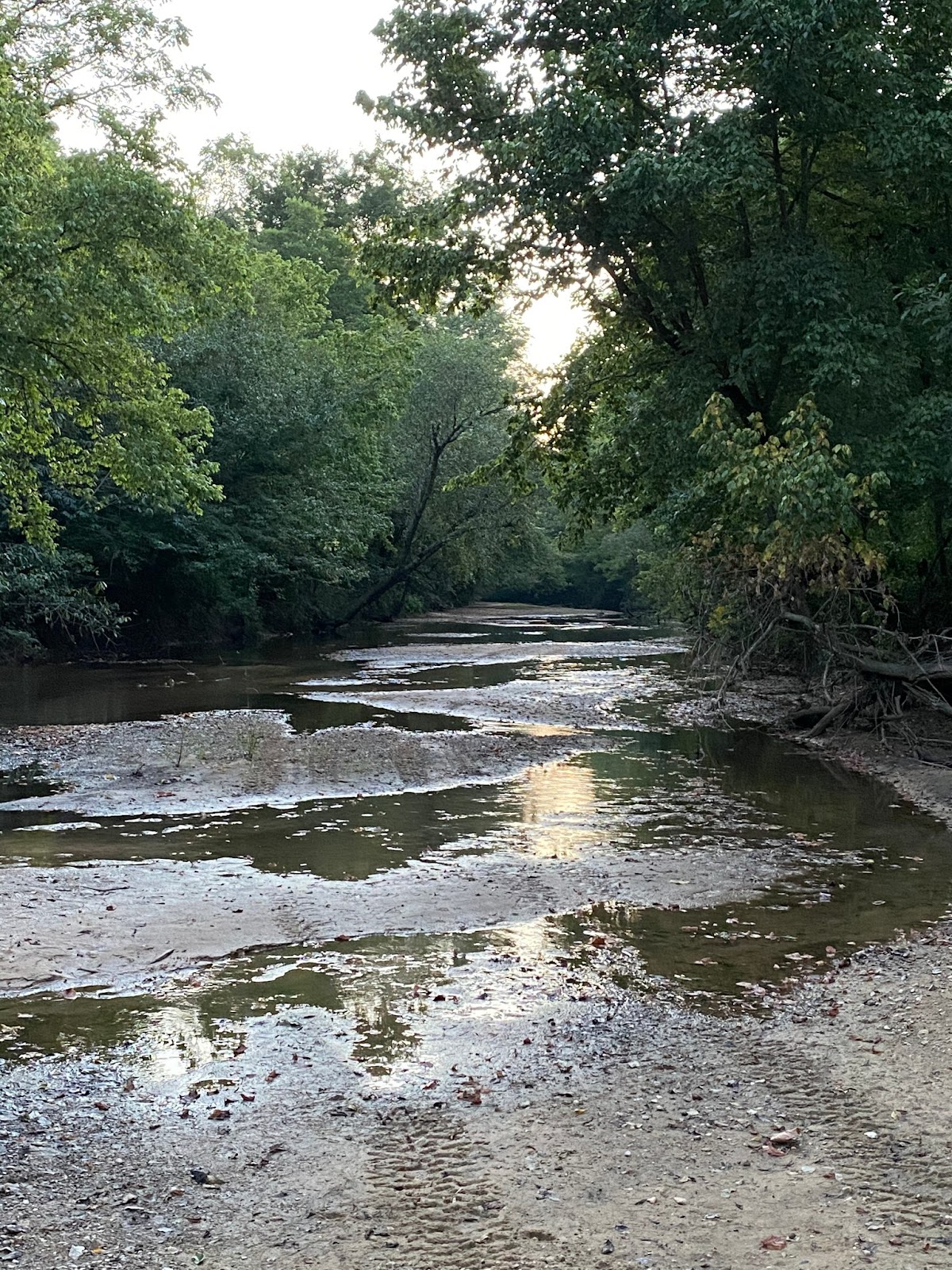 Piney Fork