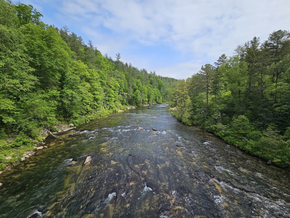 Chattooga River Trail