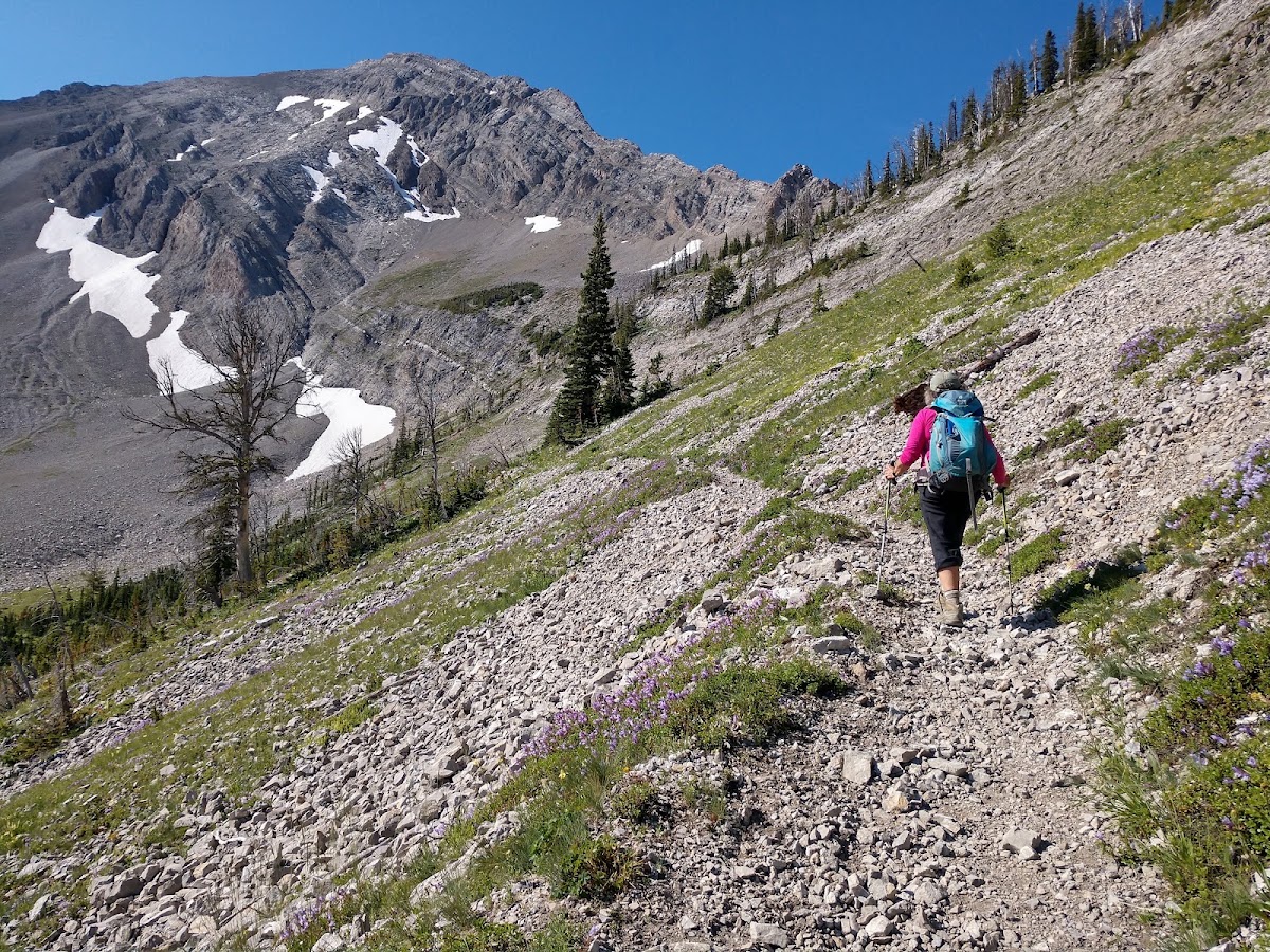 Headquarters Creek Trail