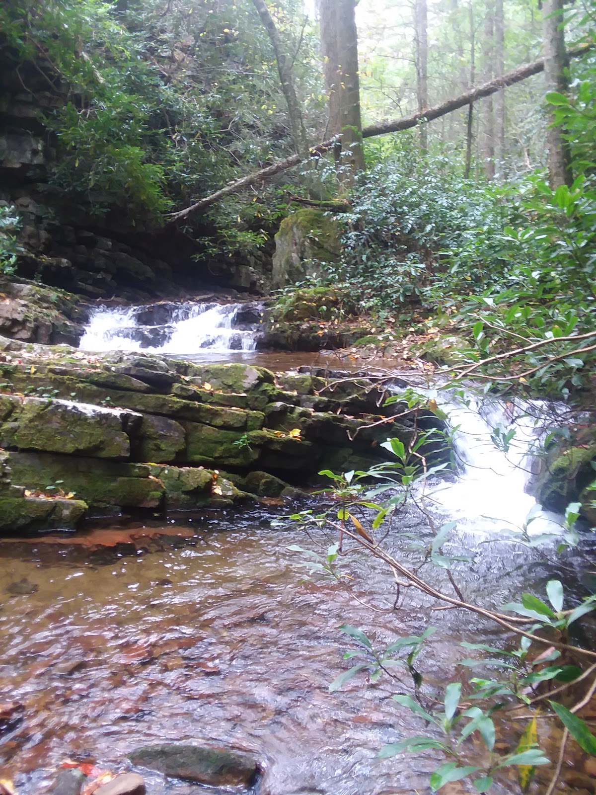 Bullen Hollow Trail