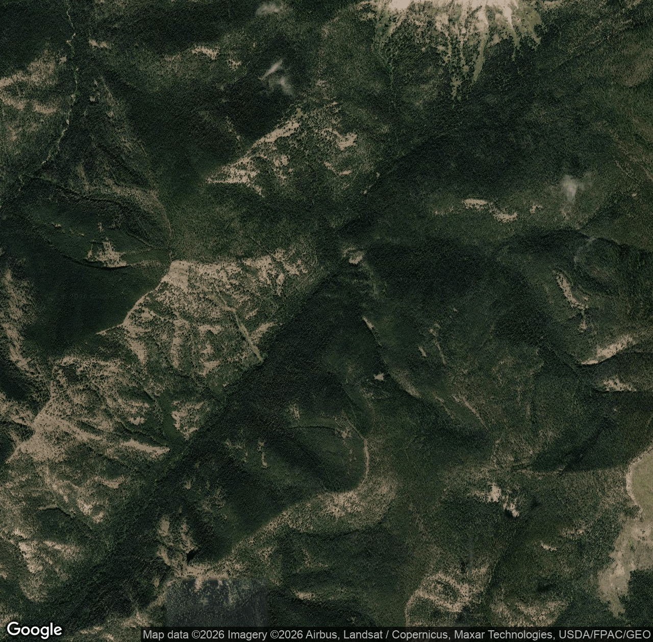 Stadler Creek Trail #271