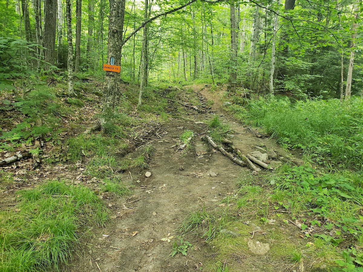 Lambert Ridge Trail