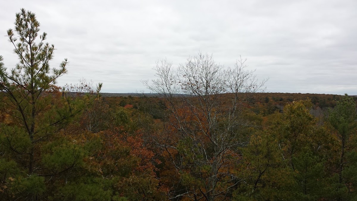 Wickaboxet Trail