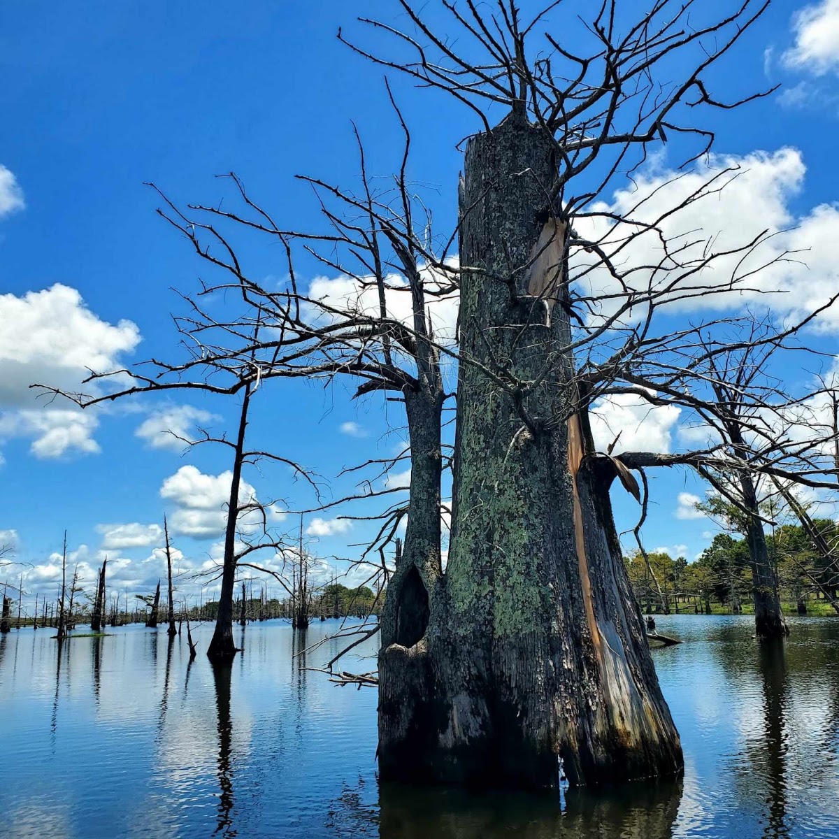Horseshoe Lake