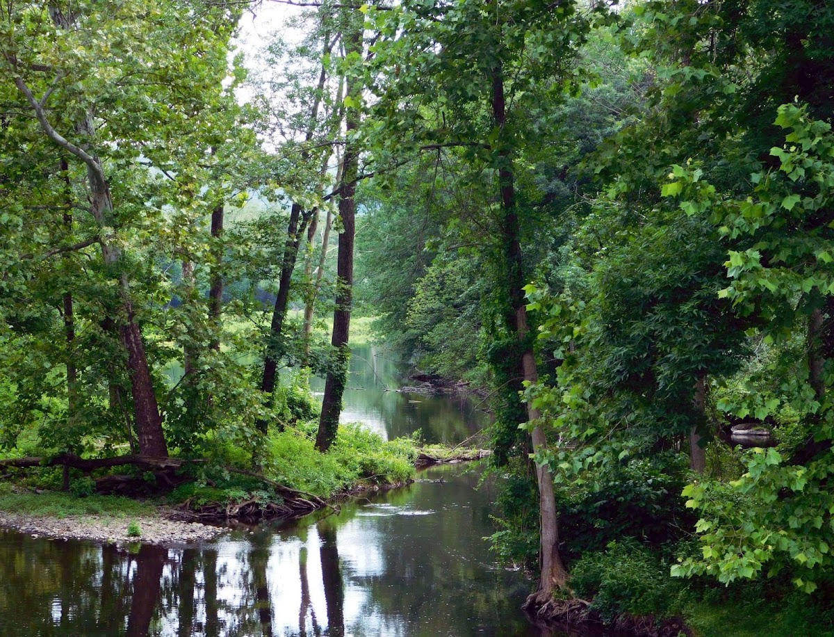 Ramapo River