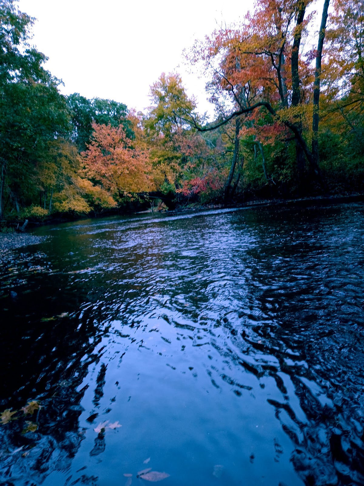 Willimantic River