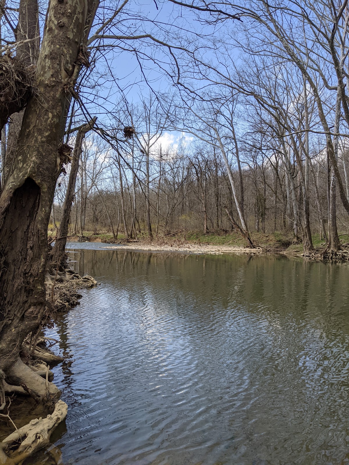 Turkey Run Park