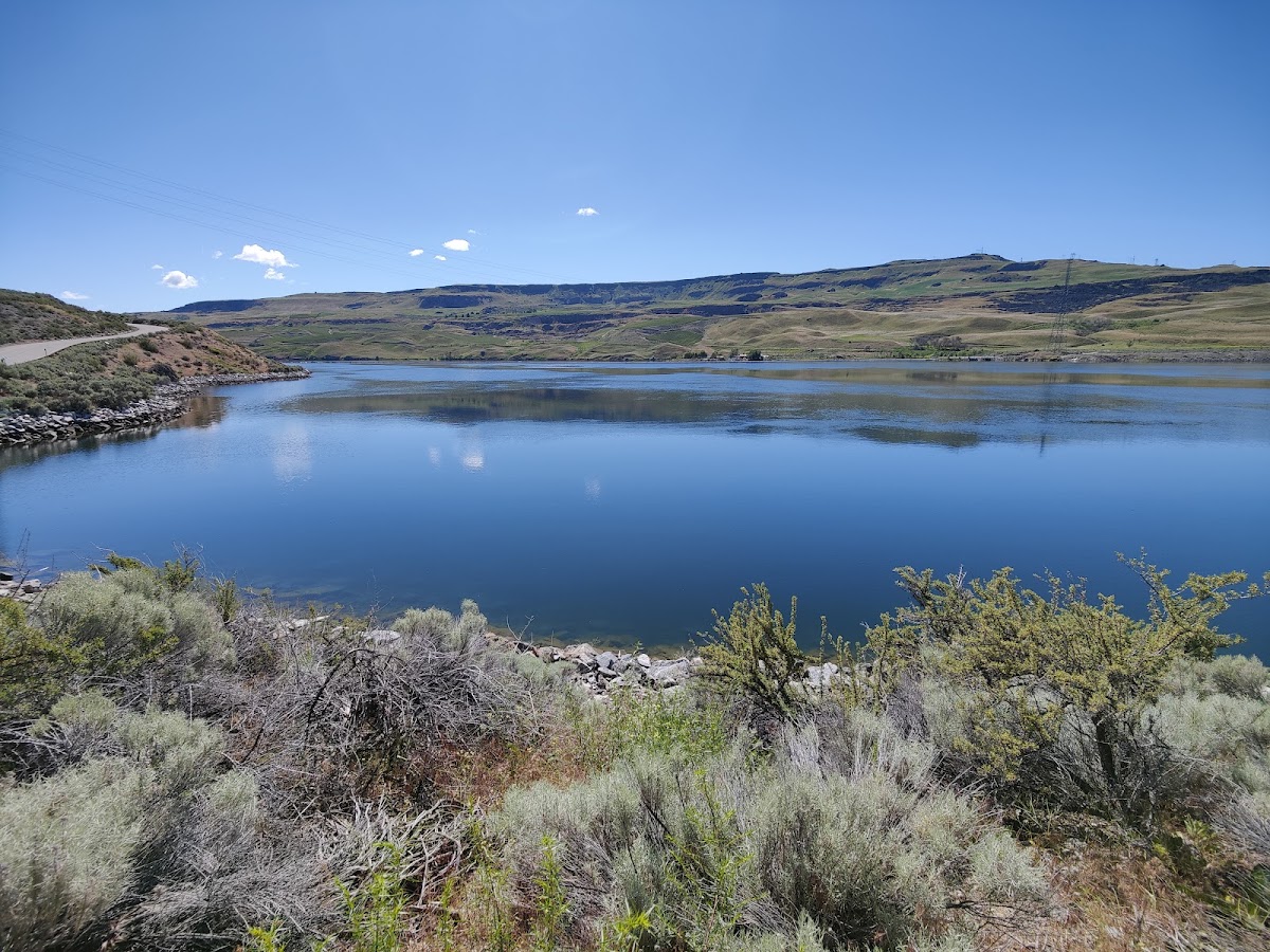 Rufus Woods Lake