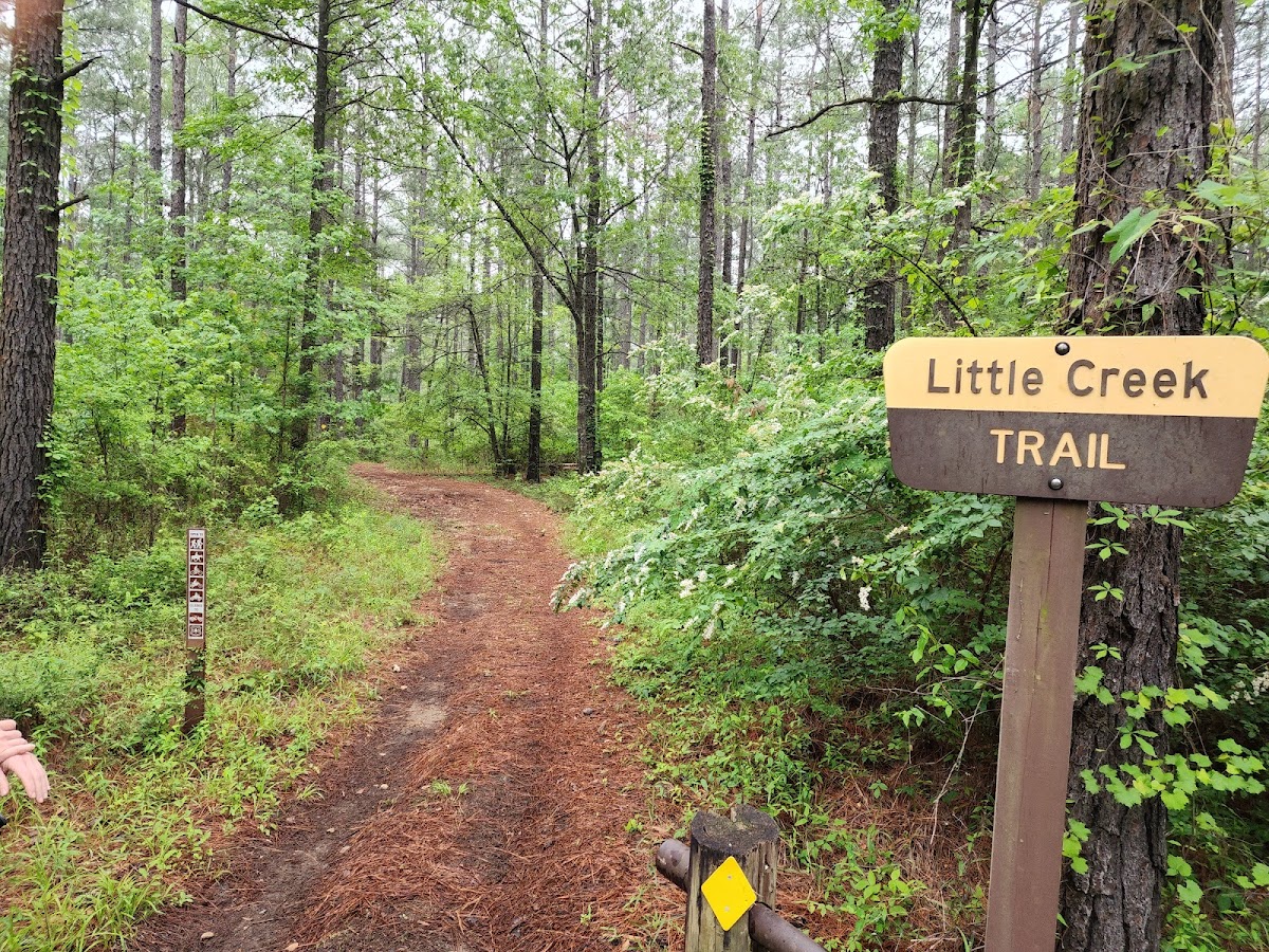 Little Creek