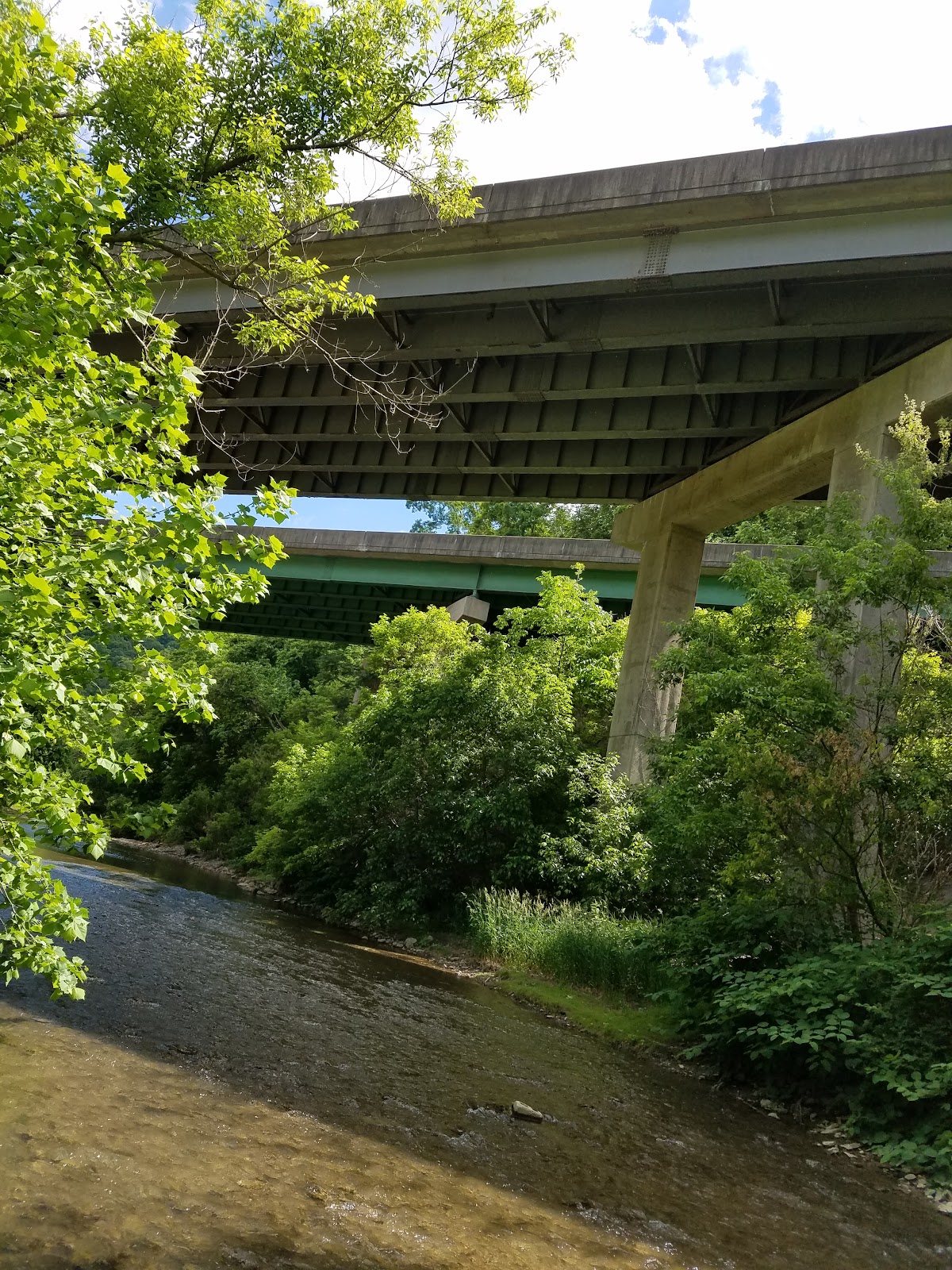 Middle Wheeling Creek