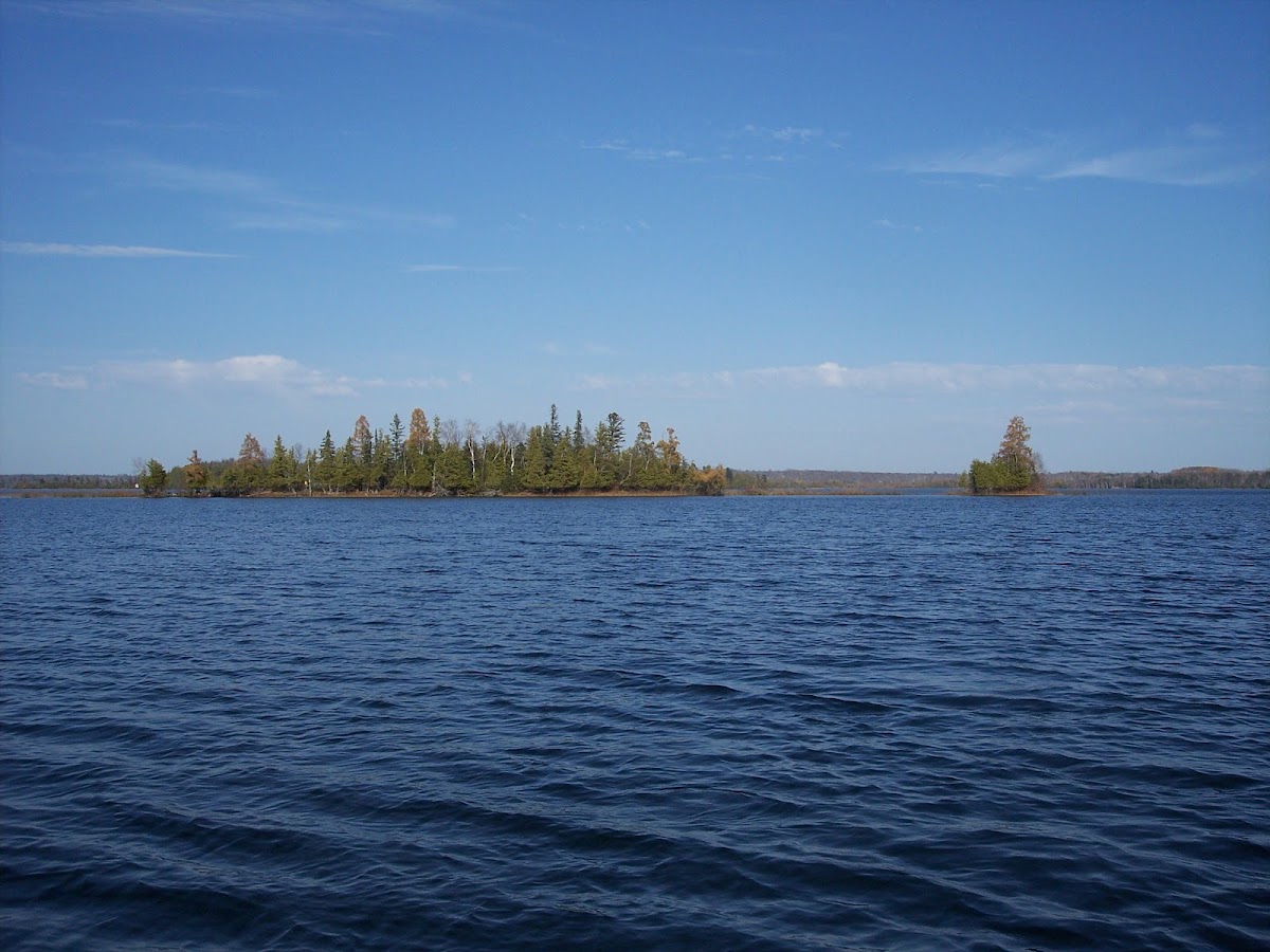 Deer Lake