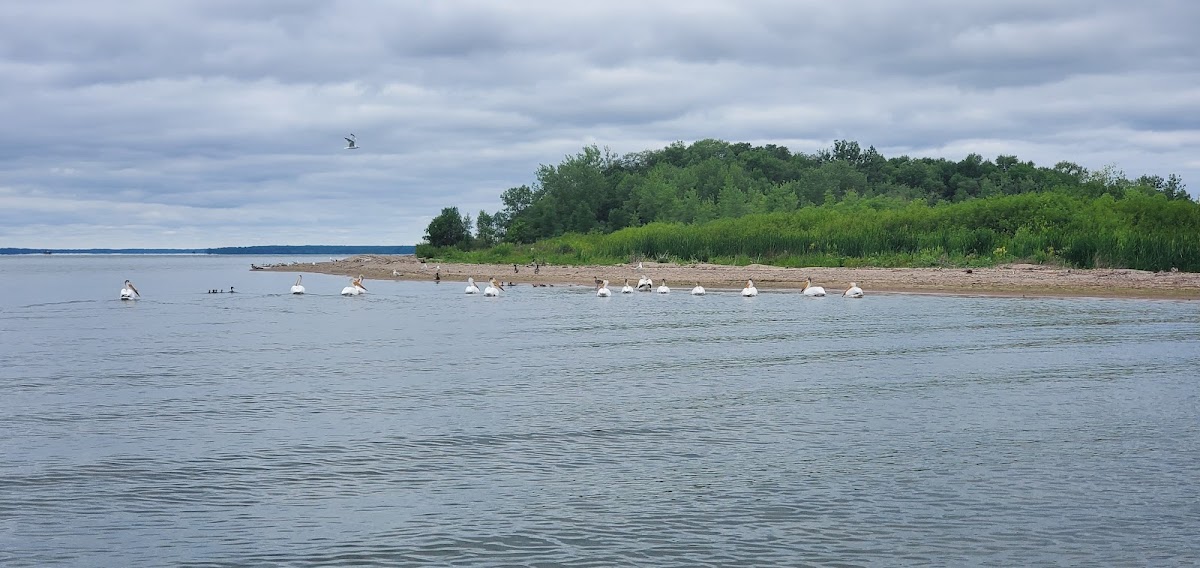 Lake Winnibigoshish