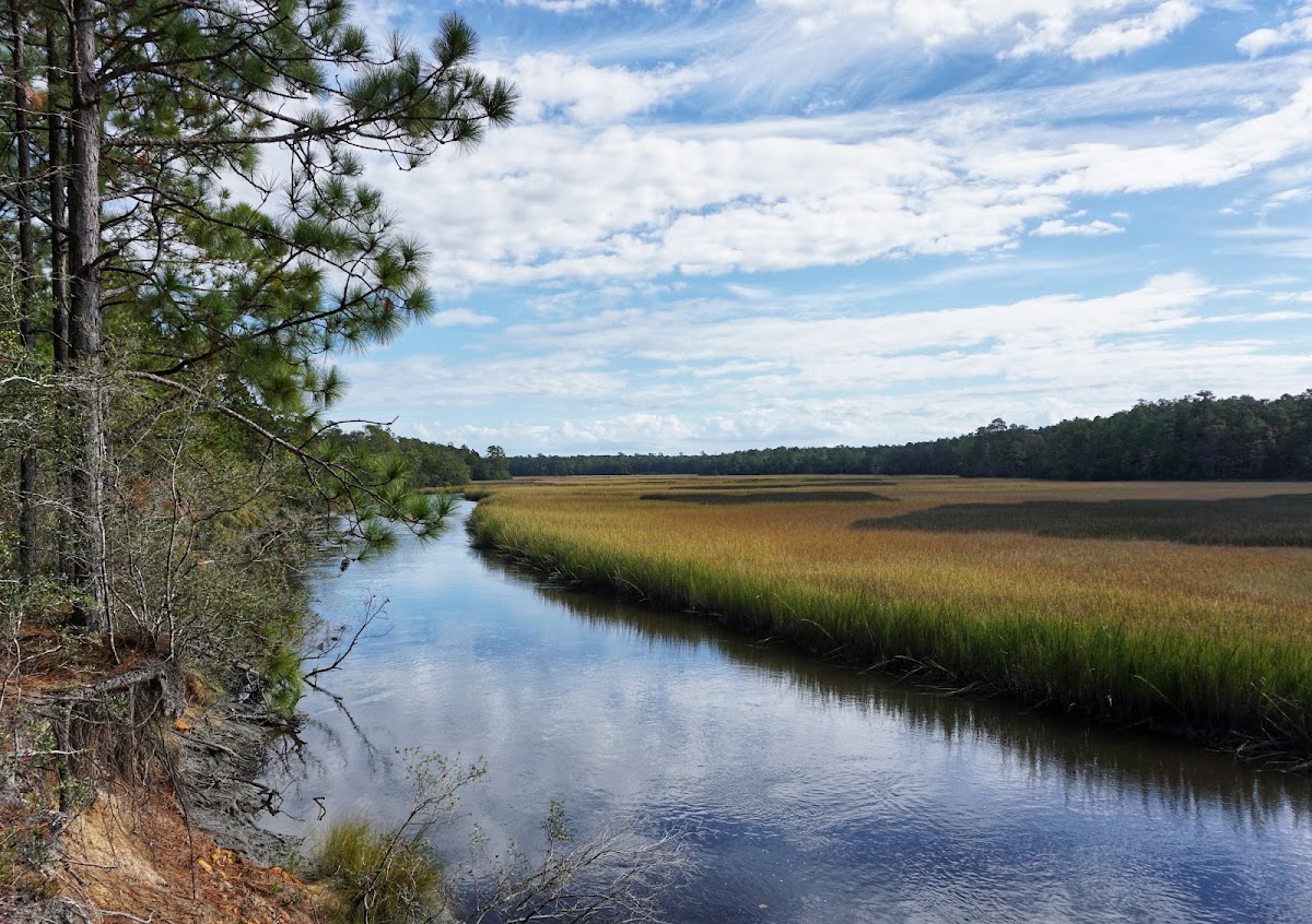 Awendaw Passage Trail