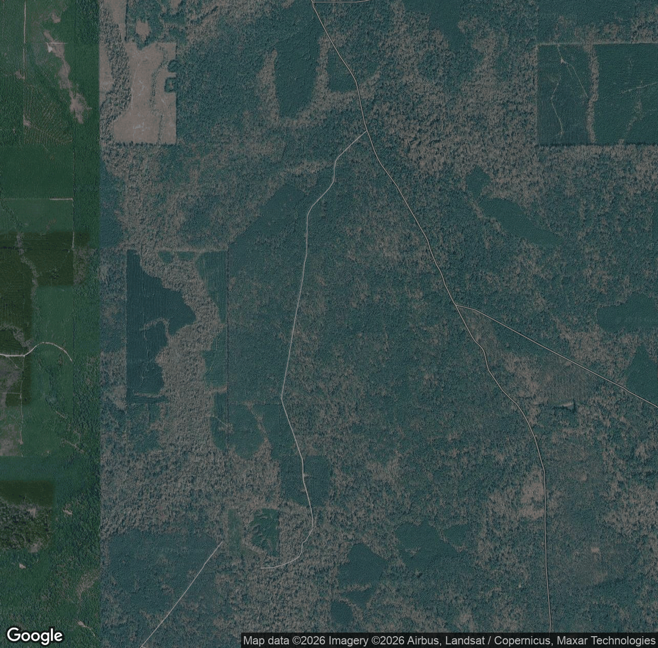 Boggy Creek