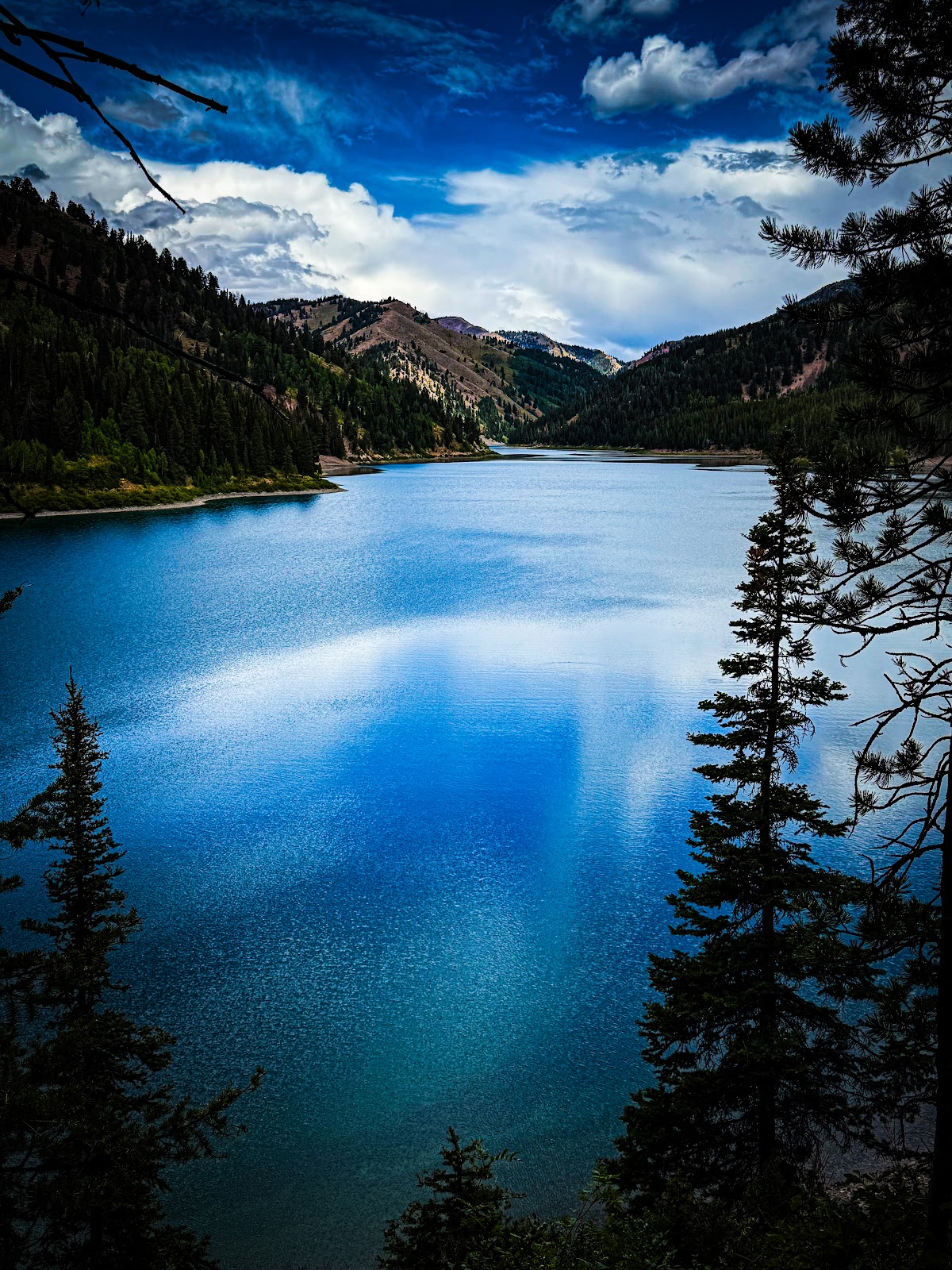 Lake Alice