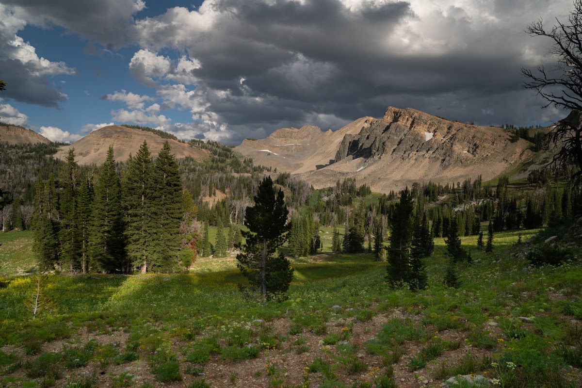 Upper Shoal Creek Trail