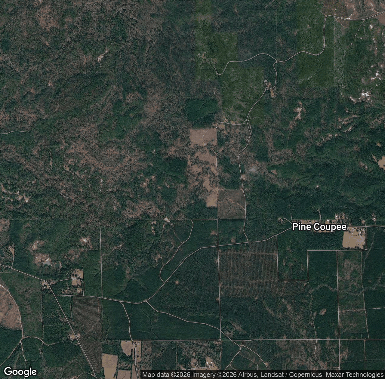 Bayou Pierre
