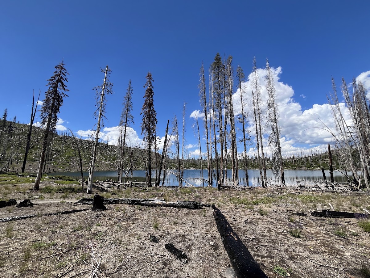 Feather Lake