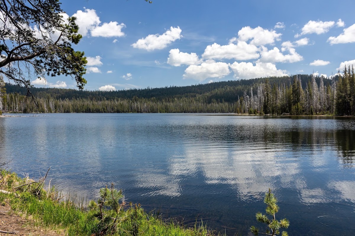 Horseshoe Lake