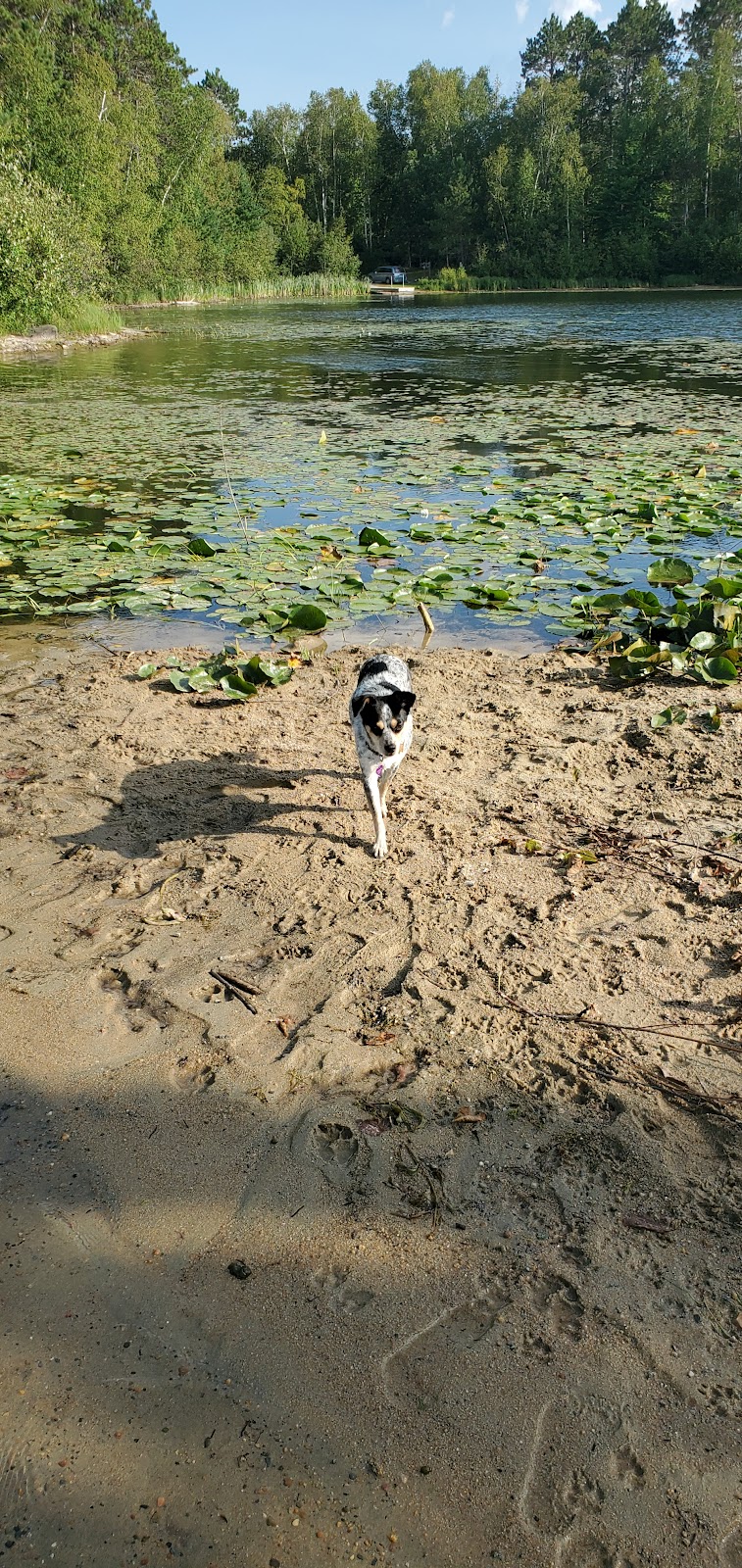 Burnt Shanty Lake