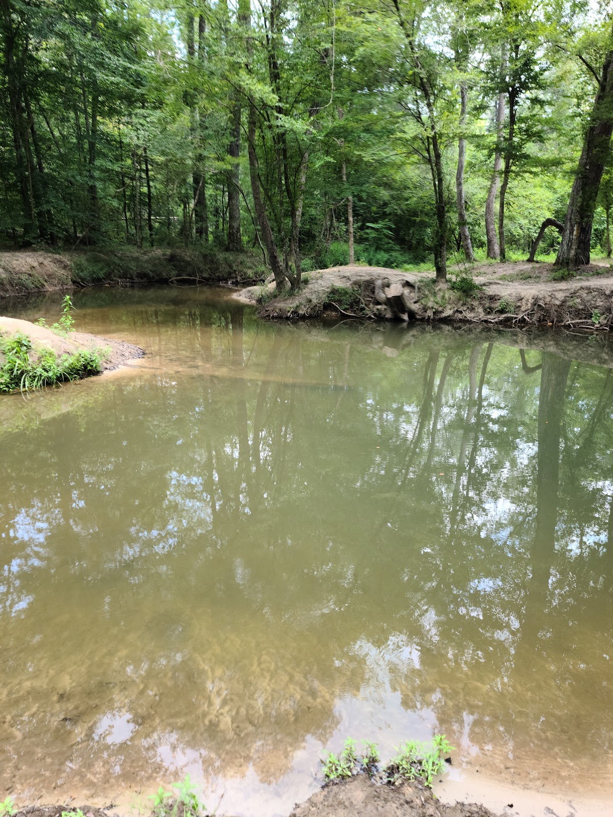 Castor Creek