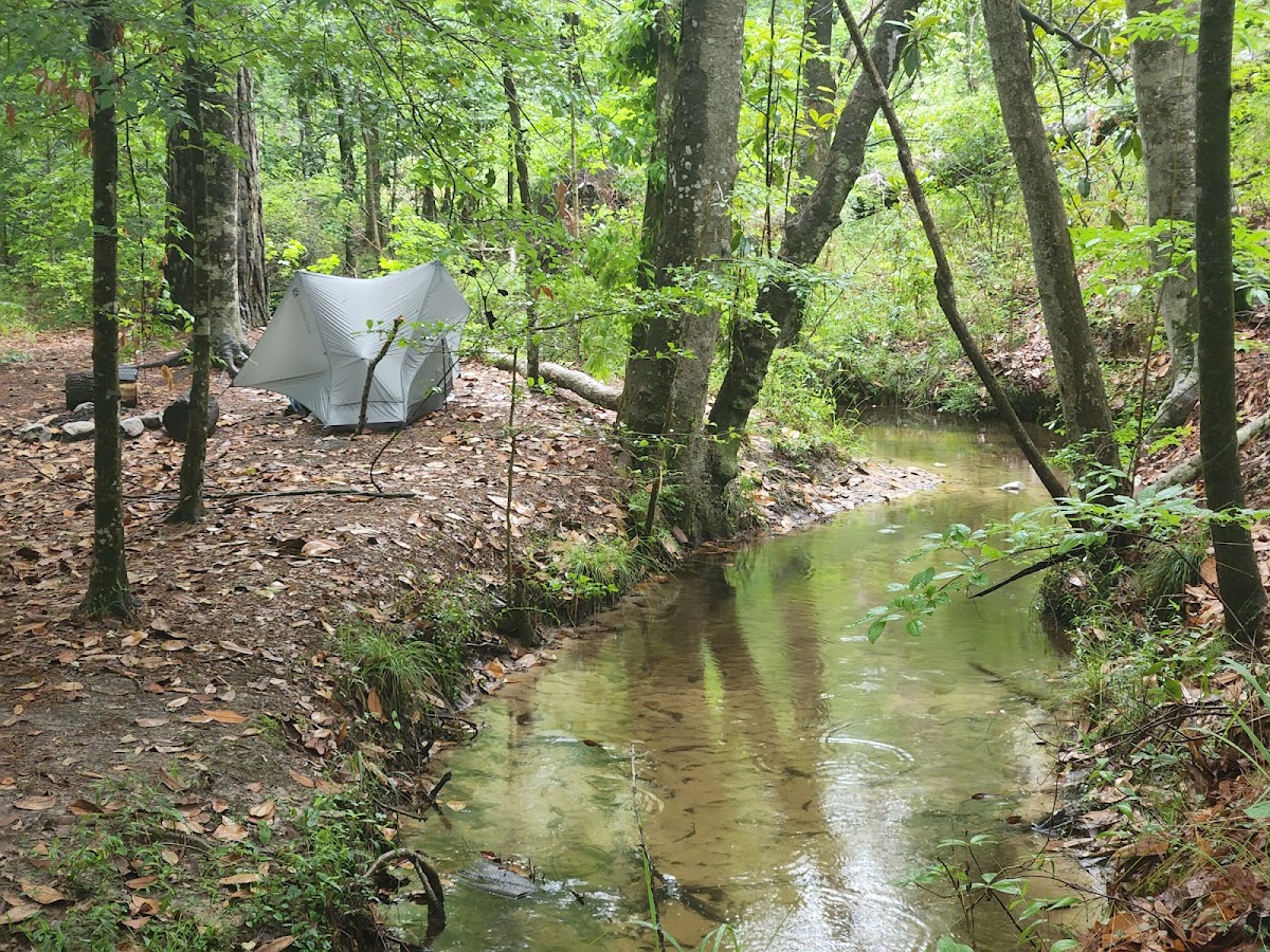 Lamotte Creek