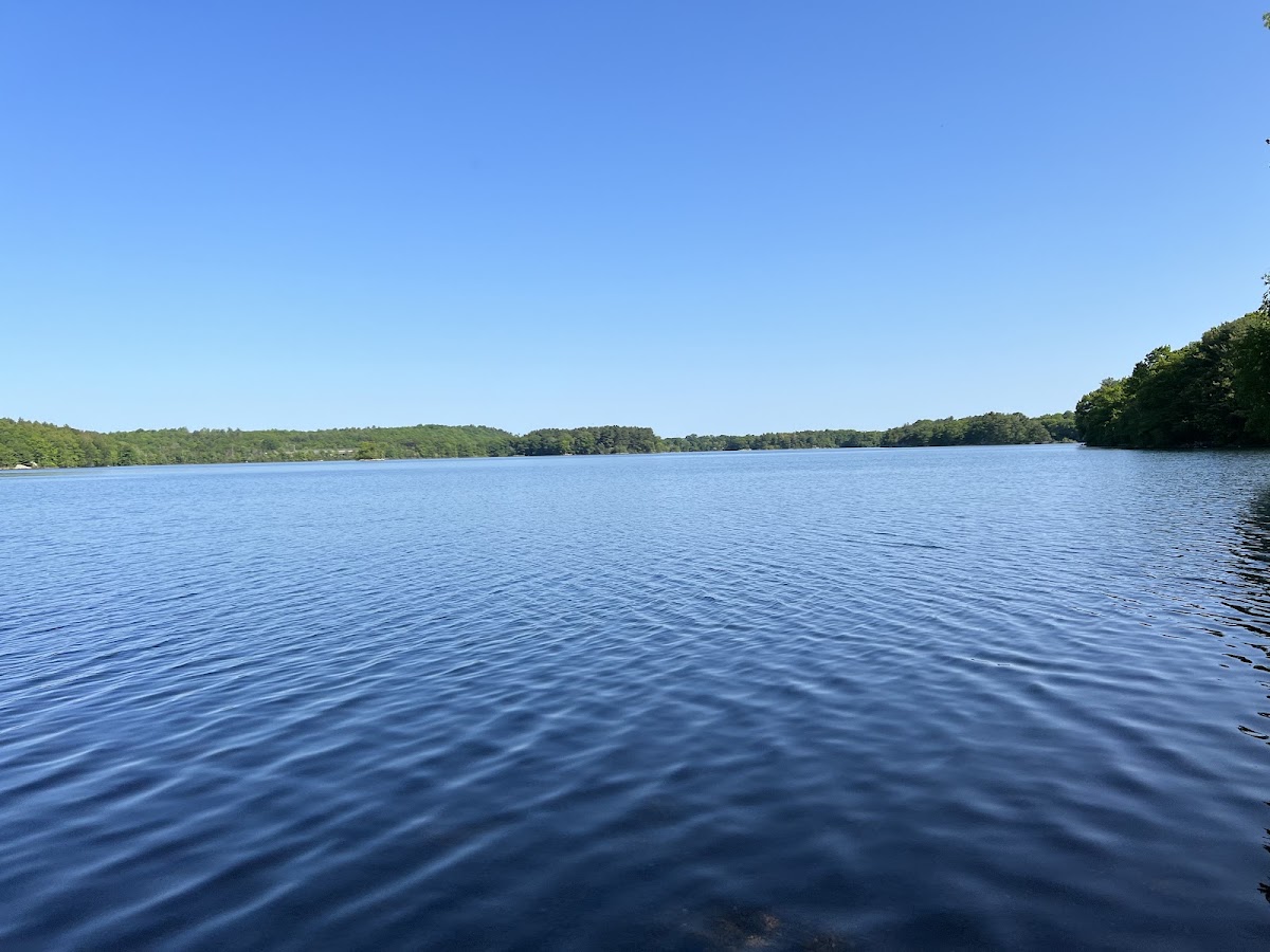 Spot Pond