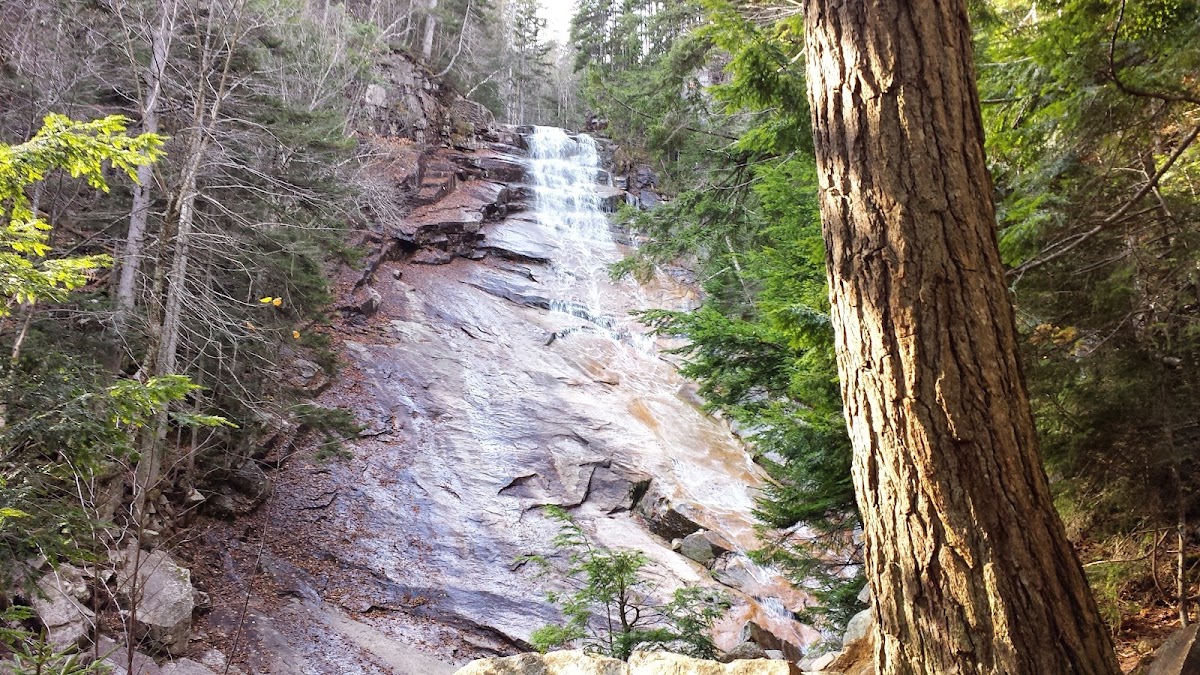 Ethan Pond Trail