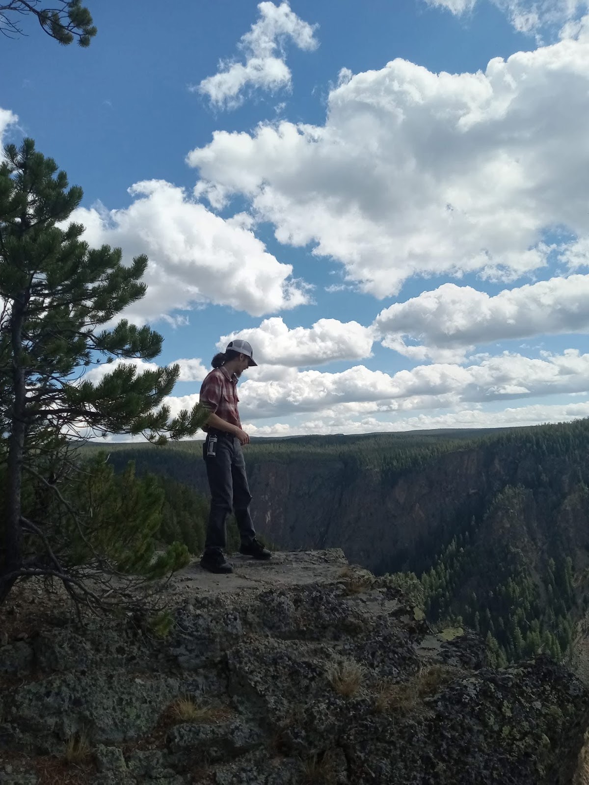Mount Washburn Spur Trail