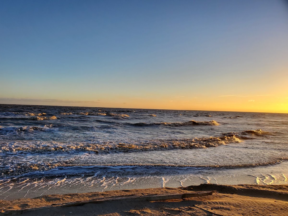 Holly Beach