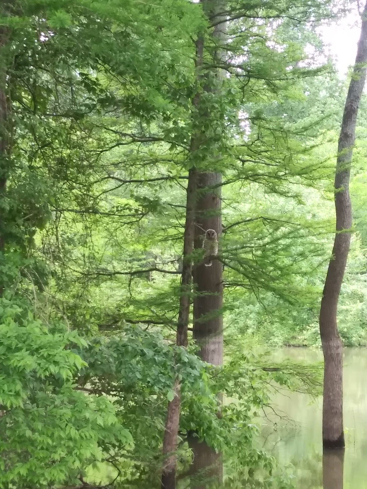 Mitchell Lake