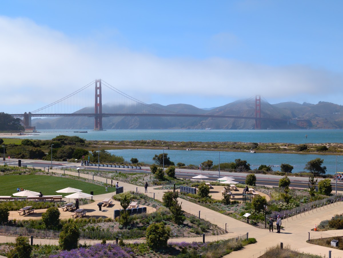 Presidio Tunnel Tops