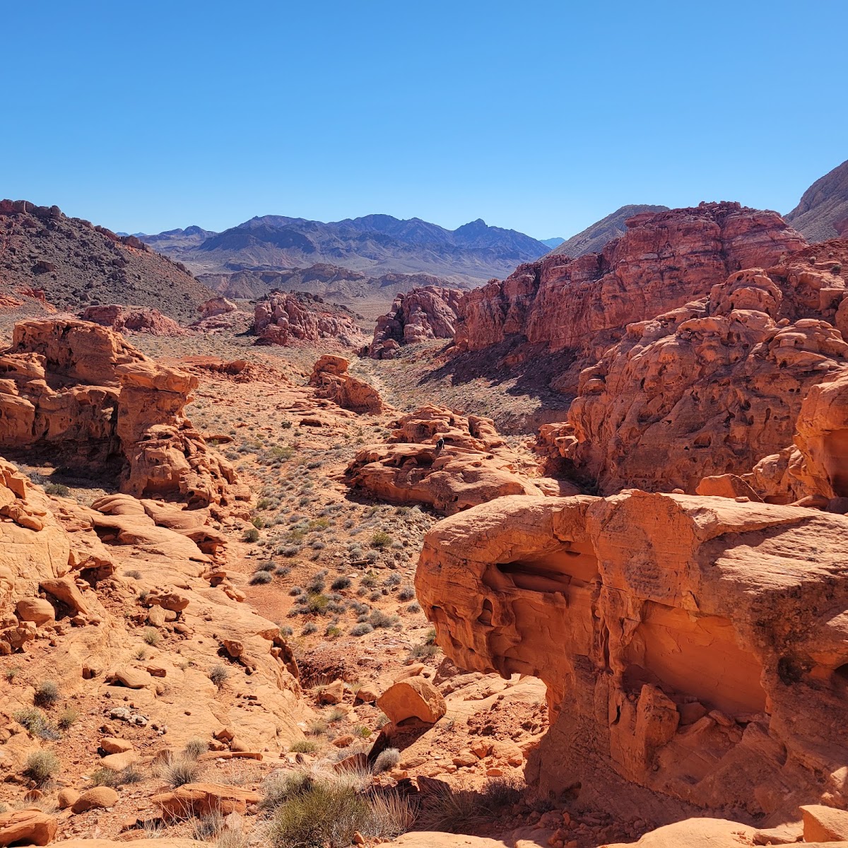 Bowl of Fire Trail